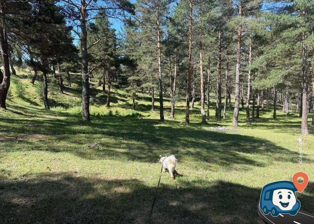 Alucra Yaylası - Mesudiye, Ordu, foto 2