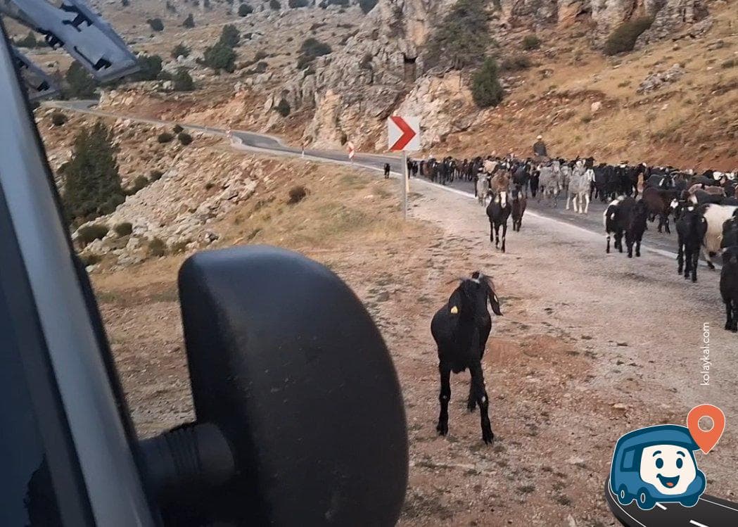Kabak Koyu Seyir Noktası ve Kamp Alanı - Seydikemer, Muğla, foto 2