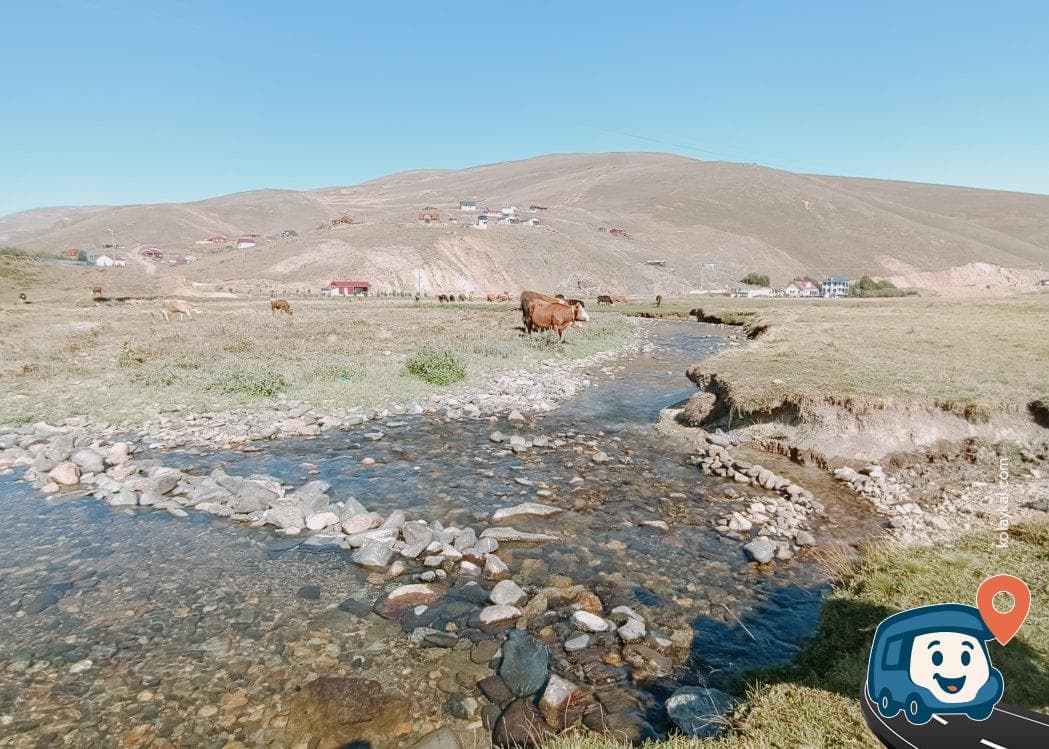 Taşköprü Yaylası Kamp Alanı - Gümüşhane Merkez, Gümüşhane, foto 3