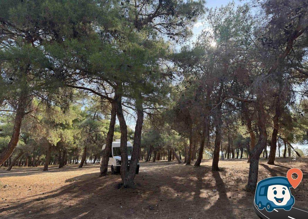 Şehitler Abidesi Yakını Kamp ve Piknik Alanı - Çanakkale Merkez, Çanakkale, foto 5