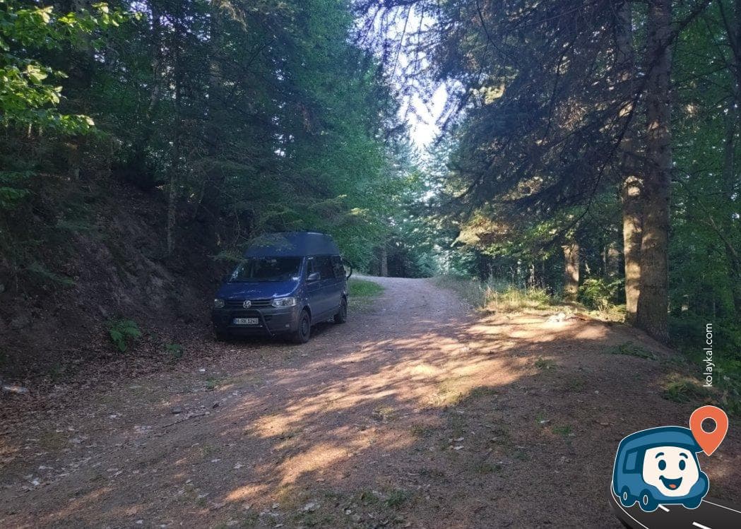 Orman İçi Kamp Alanı - Bolu Merkez, Bolu, foto 1