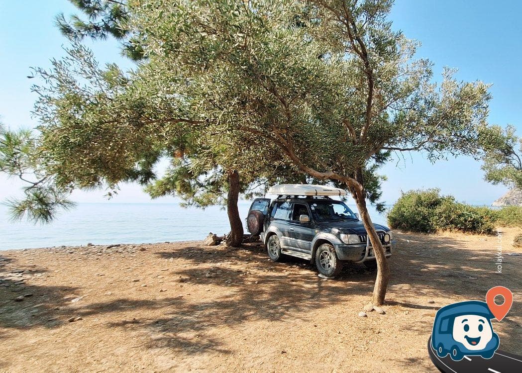 Ağaçlıklı Plaj Alanı - Milas, Muğla, foto 7