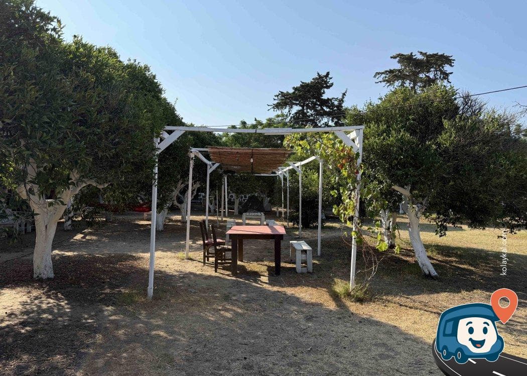 Bodrum Ecofarm Kamp ve Hostel - Muğla, foto 4