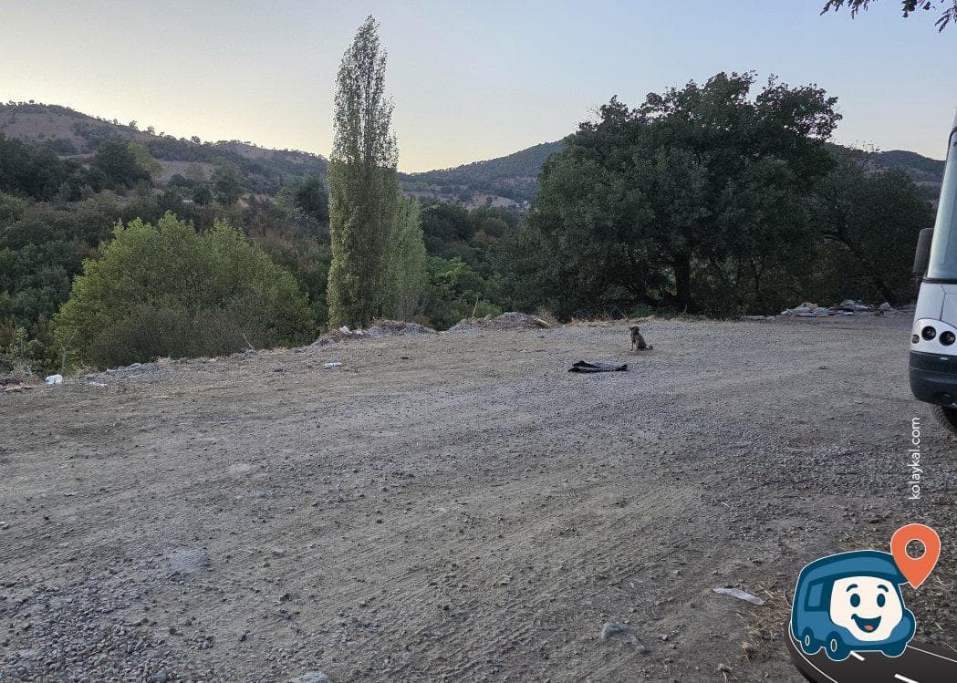 Manyas Gölü Yakını Kamp Alanı - Balya, Balıkesir, foto 2