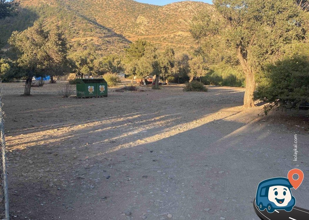 Akköy Zeytin ve Çitlembik Ağaçları Arasında Ücretsiz Kamp Alanı - Bodrum, Muğla, foto 1