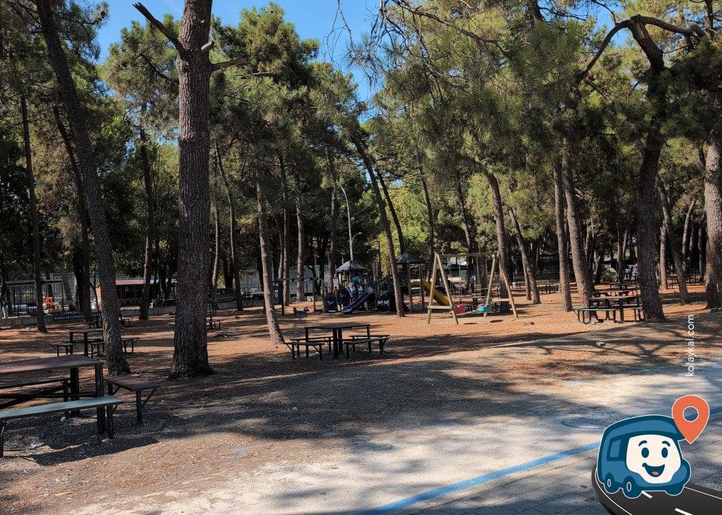 İznik Gölü Sahili Kamp Alanı - Orhangazi̇, Bursa, foto 3