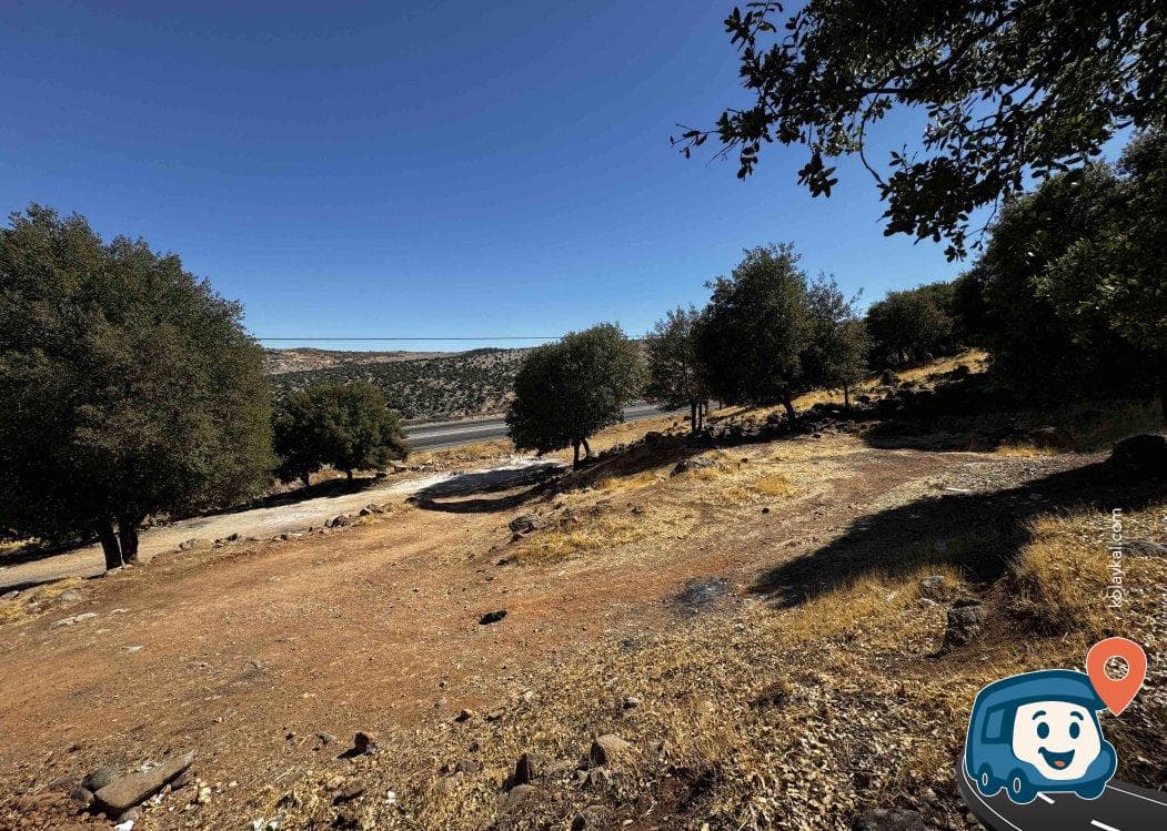 Gaziantep Nurdağı Yolu Kısa Mola Yeri - Yavuzeli, foto 1