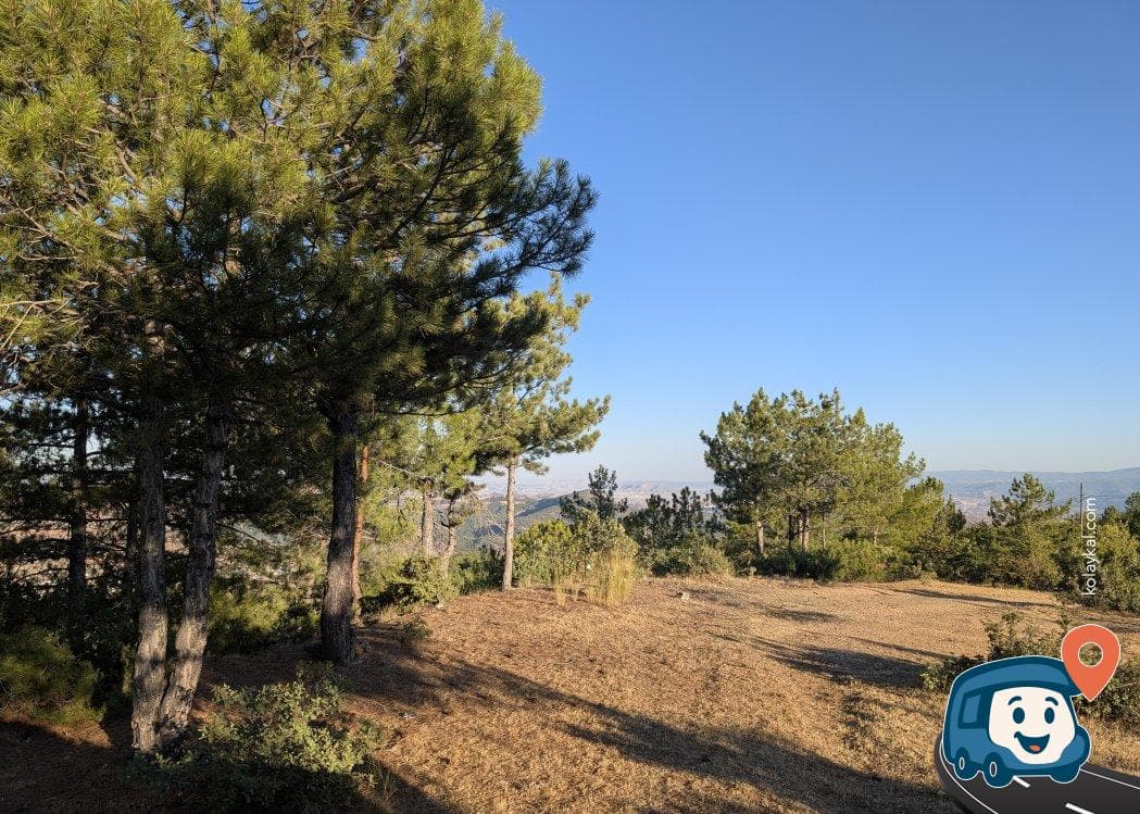 Nallıhan Kamp Alanı - Ankara, foto 1