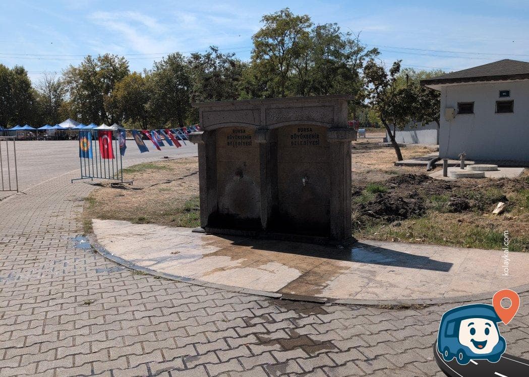 İznik Gölü Sahili Kamp Alanı - Orhangazi̇, Bursa, foto 2
