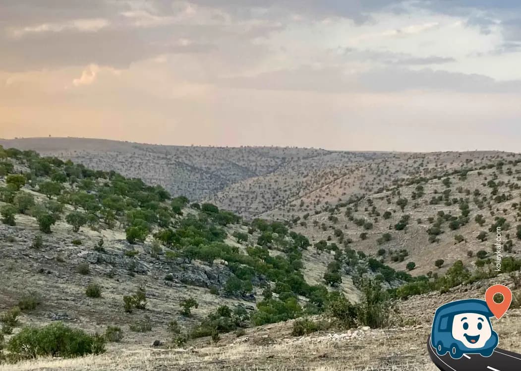 Kürt Köyü Yakınında Manzaralı Piknik Alanı - Mazıdağı, Mardin, foto 2