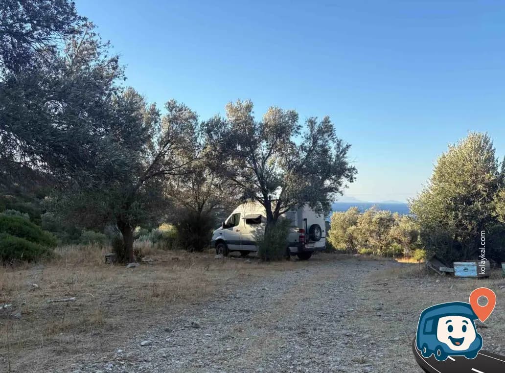 Knidos Yakınları Zeytinlik Kamp Alanı - Datça, Muğla, foto 1