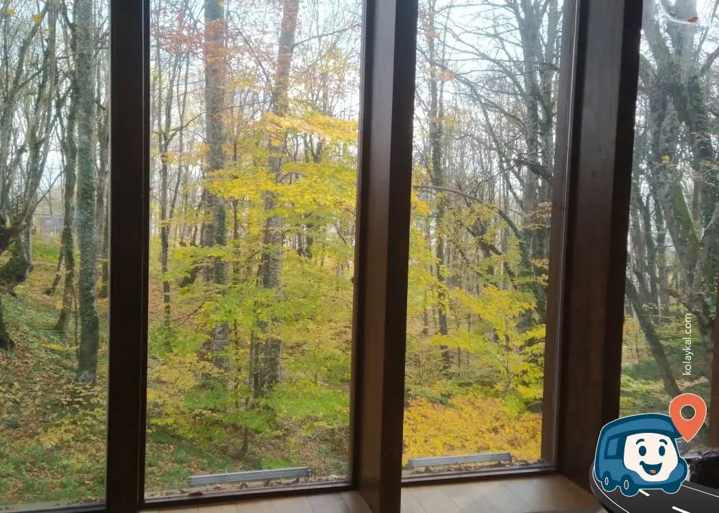 Hayrettin Tokadi Türbesi Piknik Alanı - Bolu Merkez, Bolu, foto 1