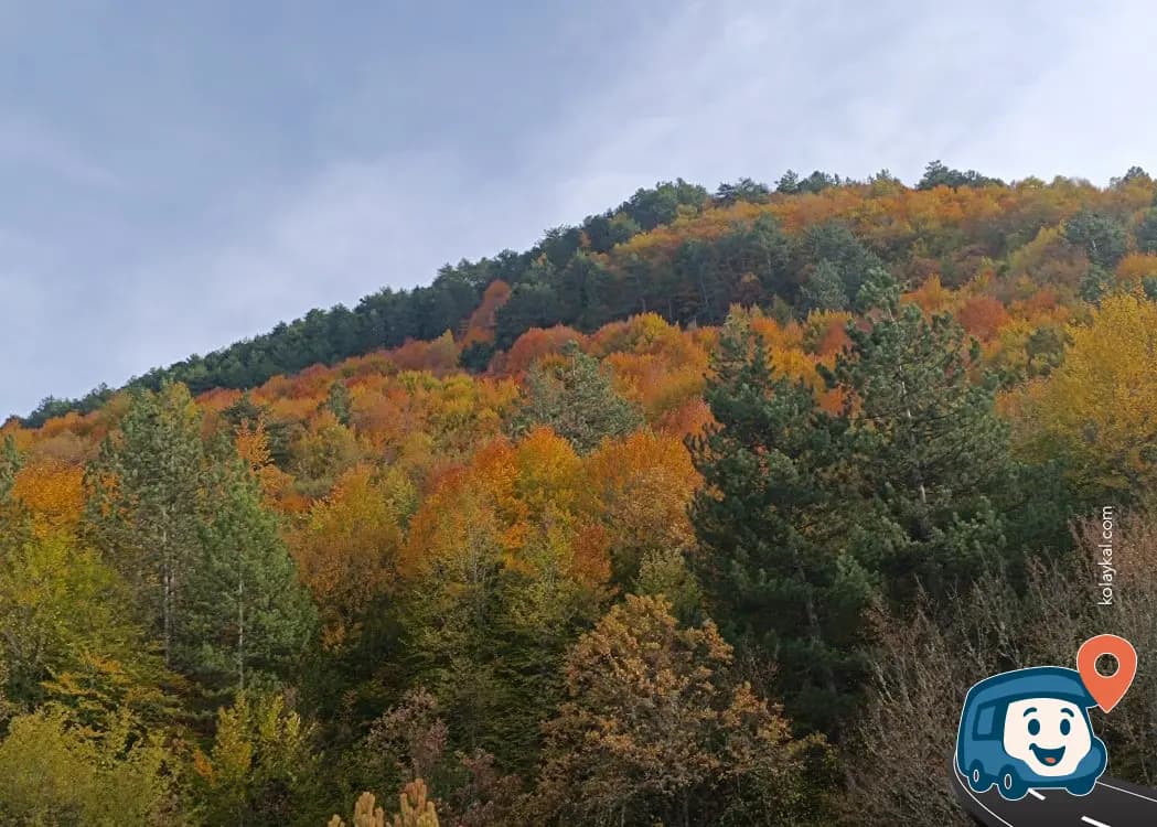 Ağalar Köyü Yol Kenarı Kamp Alanı - Mengen, Bolu, foto 1