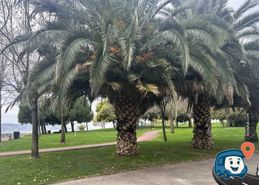 İstanbul Sahil Parkı Kamp ve Karavan Alanı - Kartal, foto 1