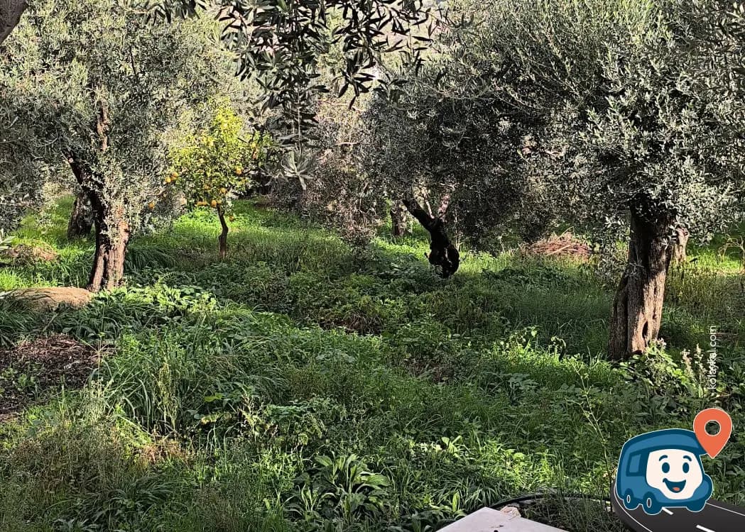 Atburgazı Mah. Özel Kamp Alanı - Söke, Aydın, foto 2