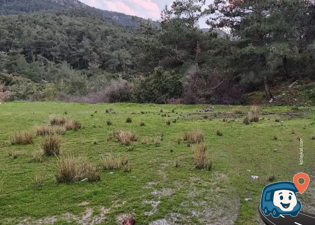 Orman İçi Açık Kamp Alanı - Kemalpaşa, İzmir, foto 2