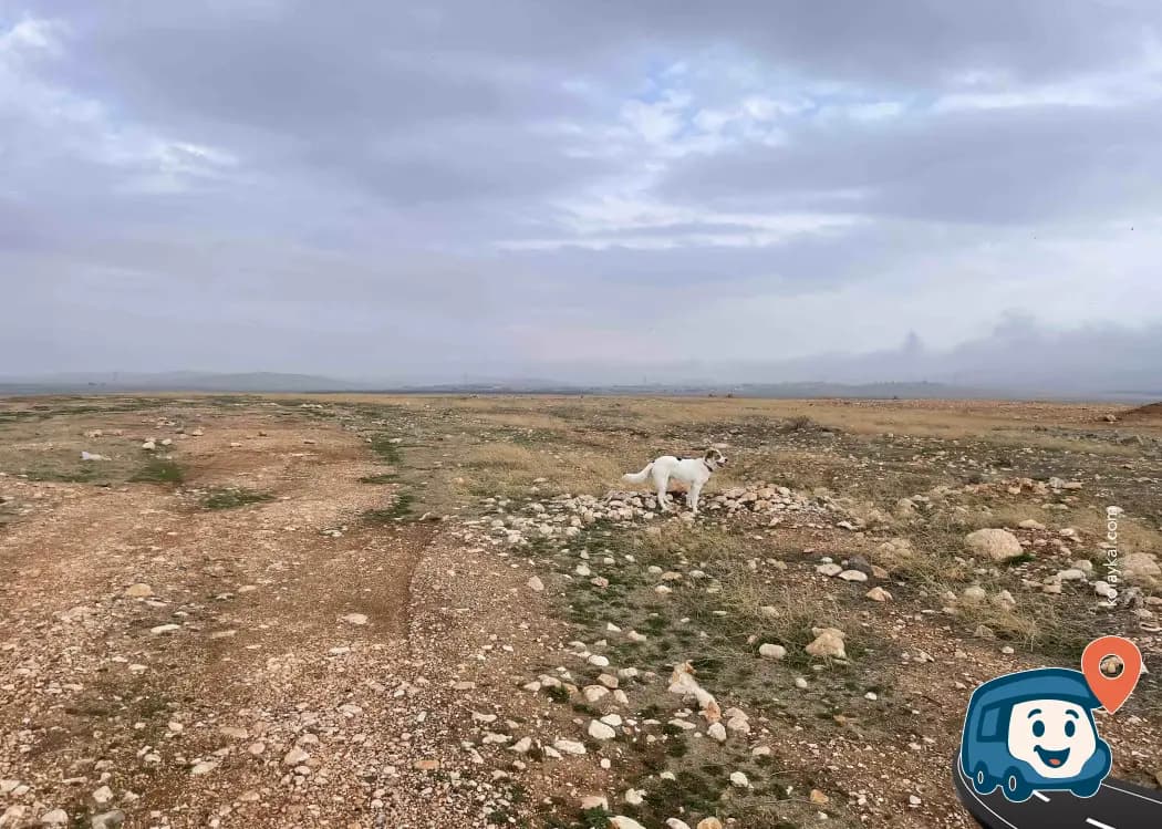 Yapay Tepe Kamp Alanı - Haliliye, Şanlıurfa, foto 2