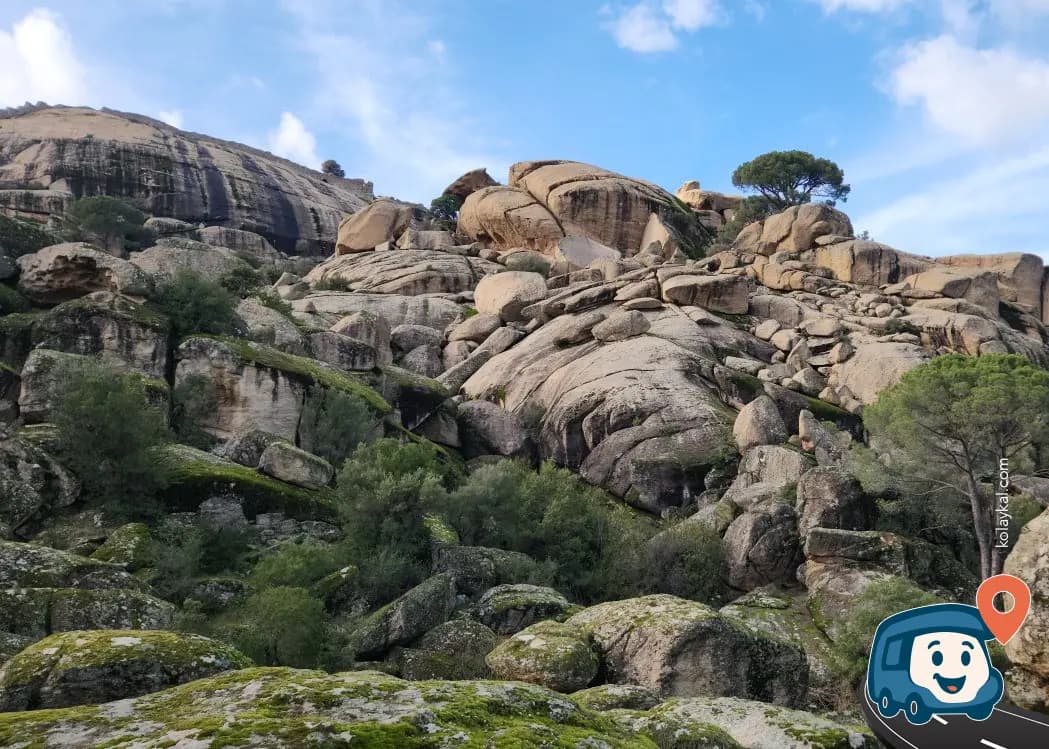 Didim Apollon Tapınağı Yakınında Doğa İçinde Kamp Alanı - Koçarlı, Aydın, foto 1
