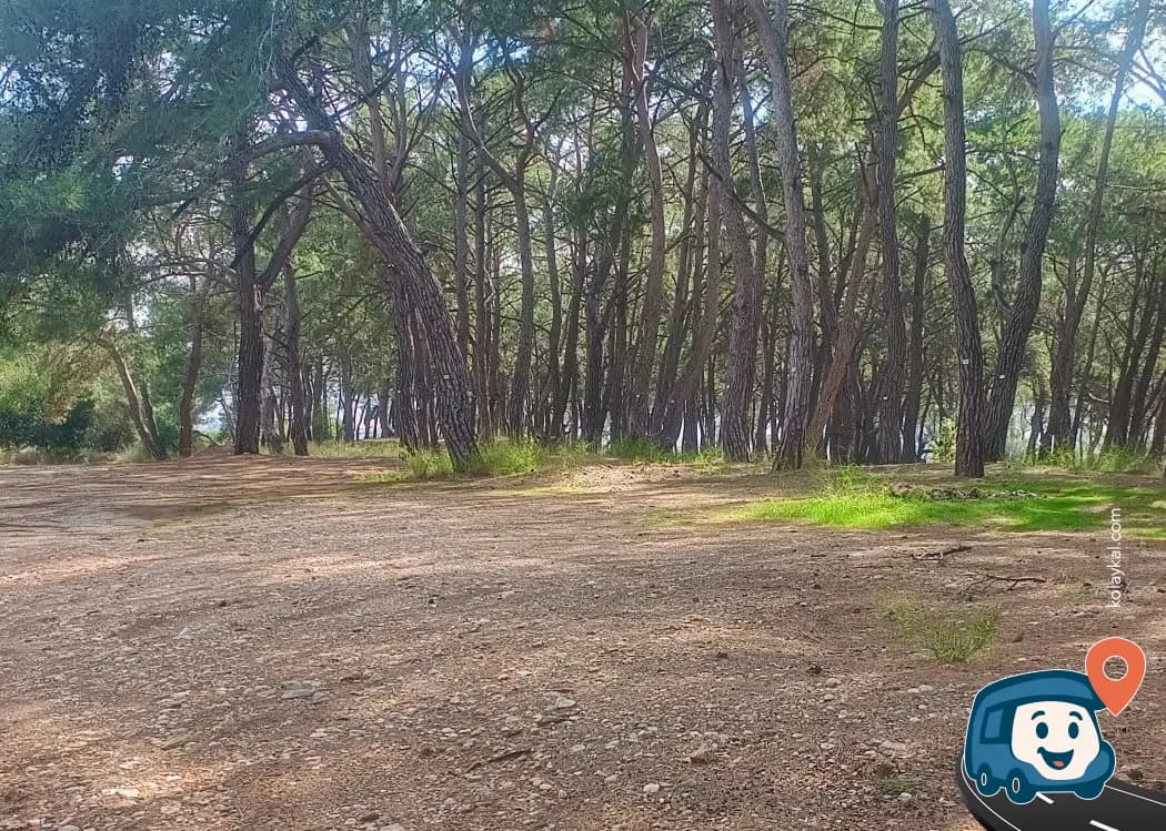 Orman İçi Otopark ve Dinlenme Alanı - Döşemealtı, Antalya, foto 1
