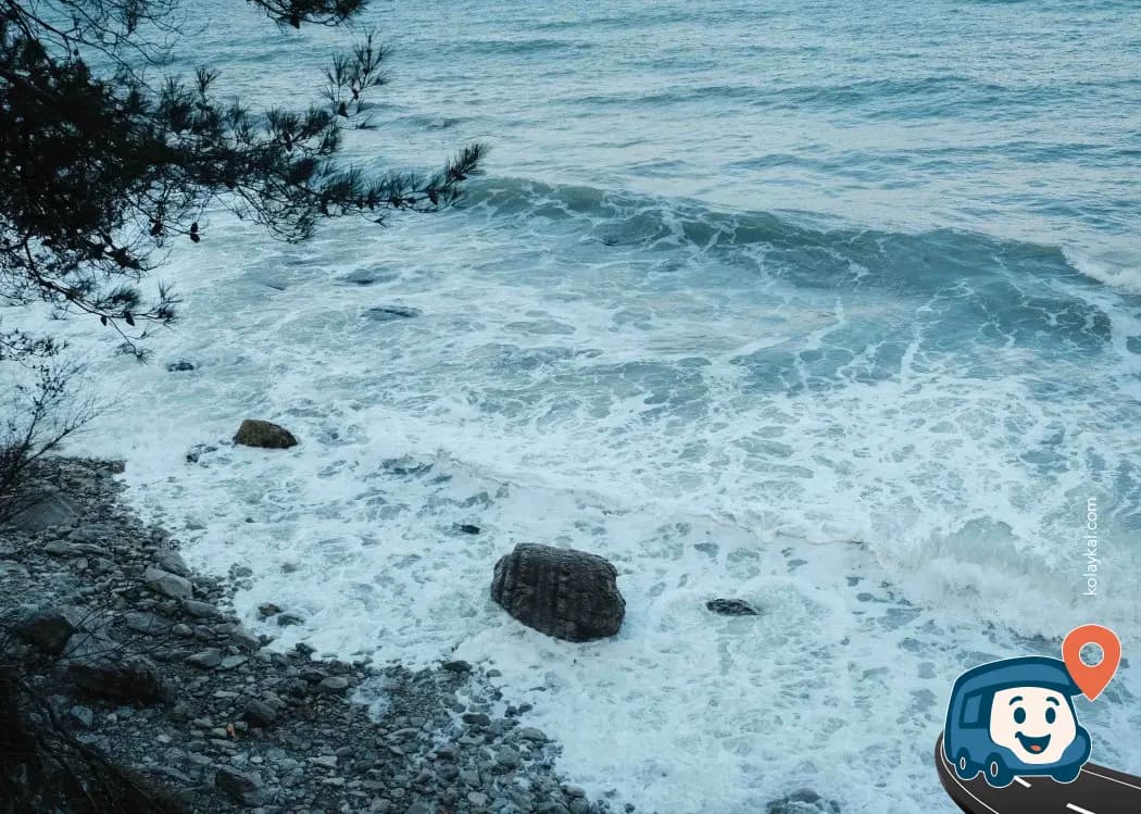 Şeyhler Koyu Kamp ve Piknik Alanı - Kurucaşile, Bartın, foto 8