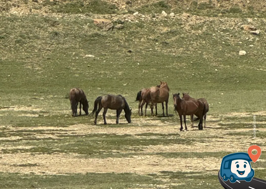 Karacaören 2 Baraj Gölü Doğa Kamp Alanı - Aksu, Isparta, foto 1