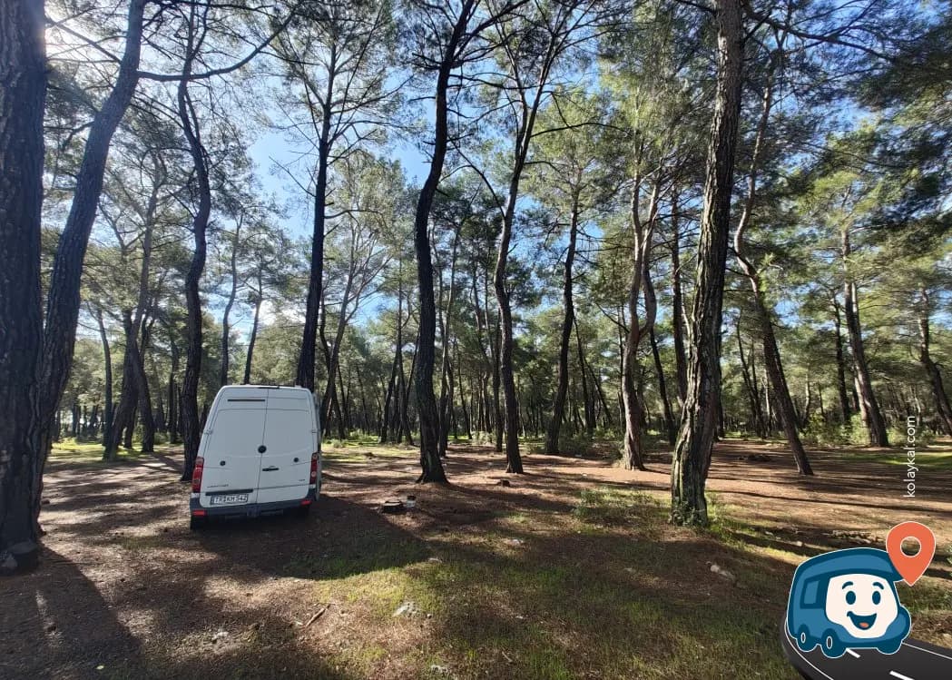 Ağaçlık Alan Sakin Kamp Noktası - Döşemealtı, Antalya, foto 2