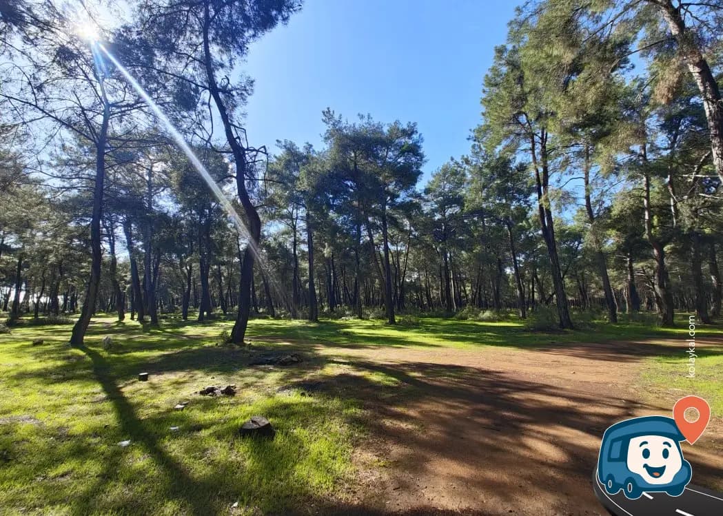 Ağaçlık Alan Sakin Kamp Noktası - Döşemealtı, Antalya, foto 1