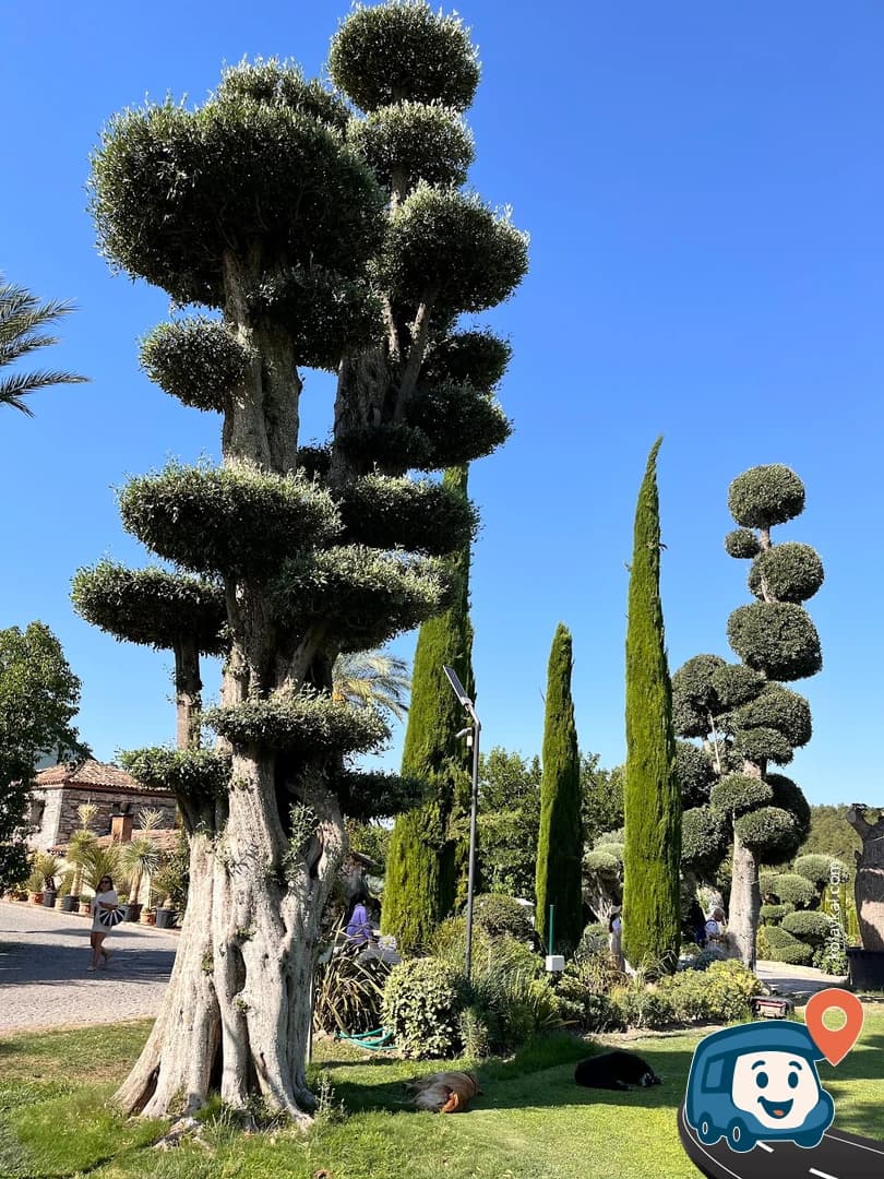 Uzbaş Arboretum - Urla, İzmir, foto 2