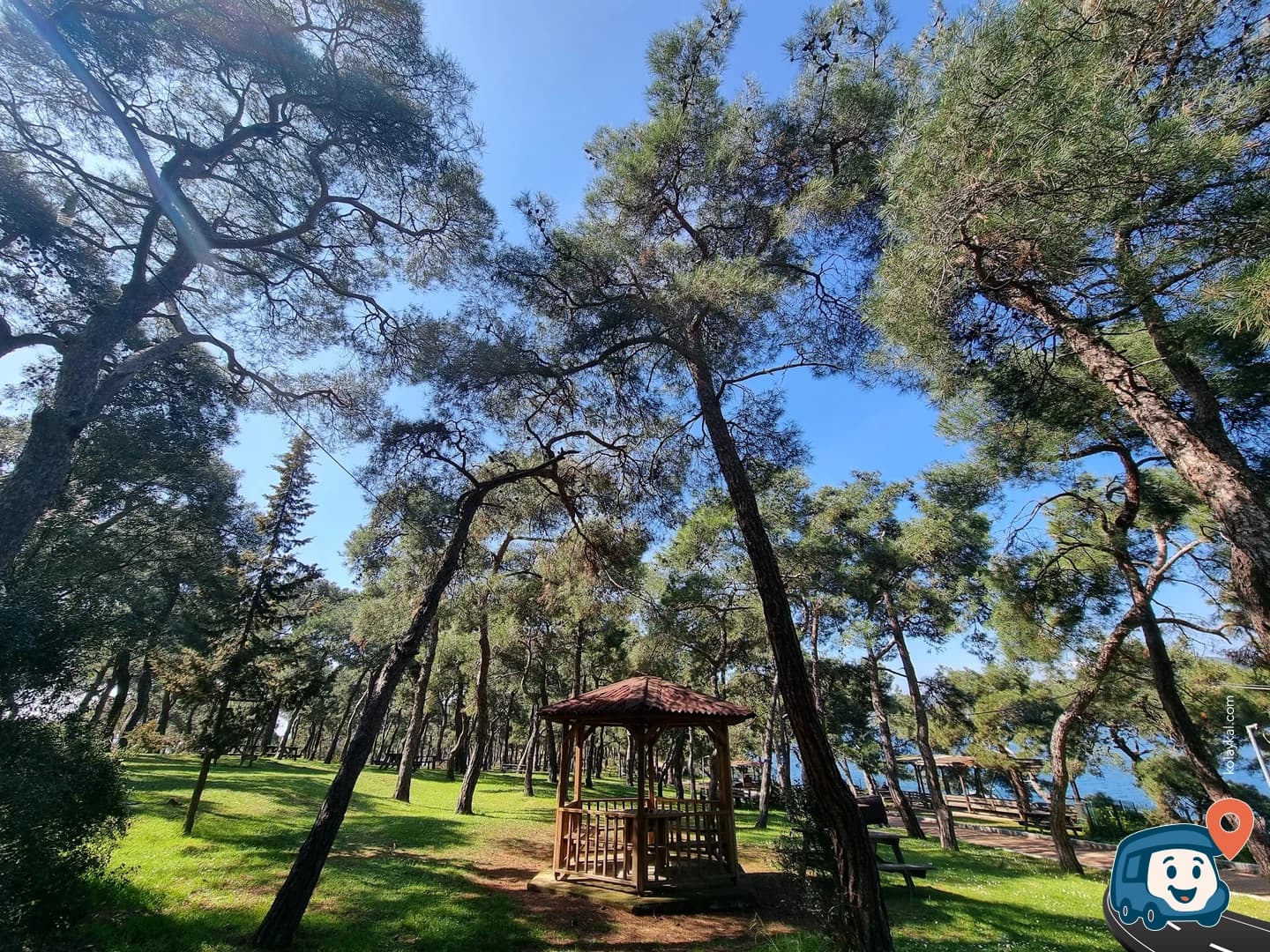 Dilburnu Tabiat Parkı - Adalar, İstanbul, foto 1