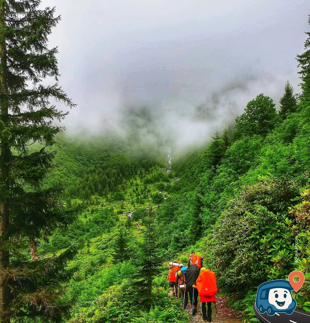 Görgit Yaylası - Borçka, Artvin, foto 4