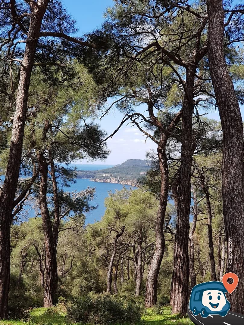 Dilburnu Tabiat Parkı - Adalar, İstanbul, foto 3