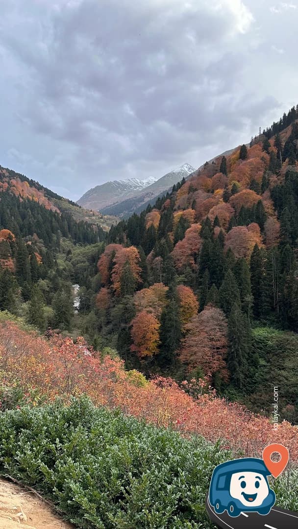 Amlakit Yaylası - Çamlıhemşin, Rize, foto 4