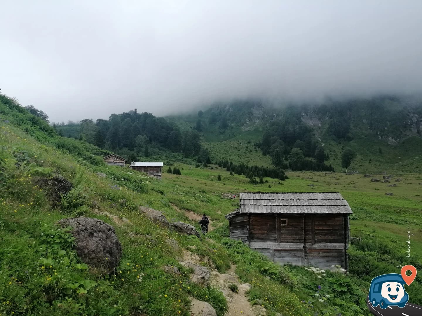 Görgit Yaylası - Borçka, Artvin, foto 1