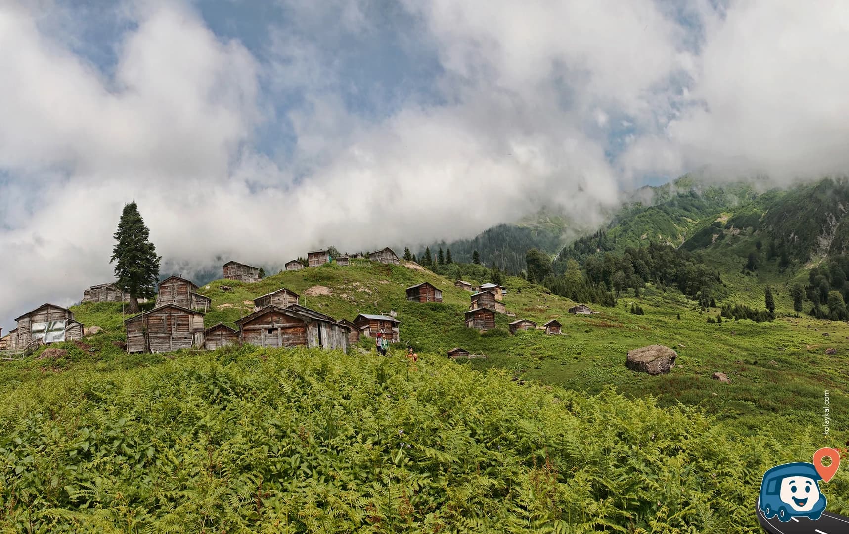 Görgit Yaylası - Borçka, Artvin, foto 2