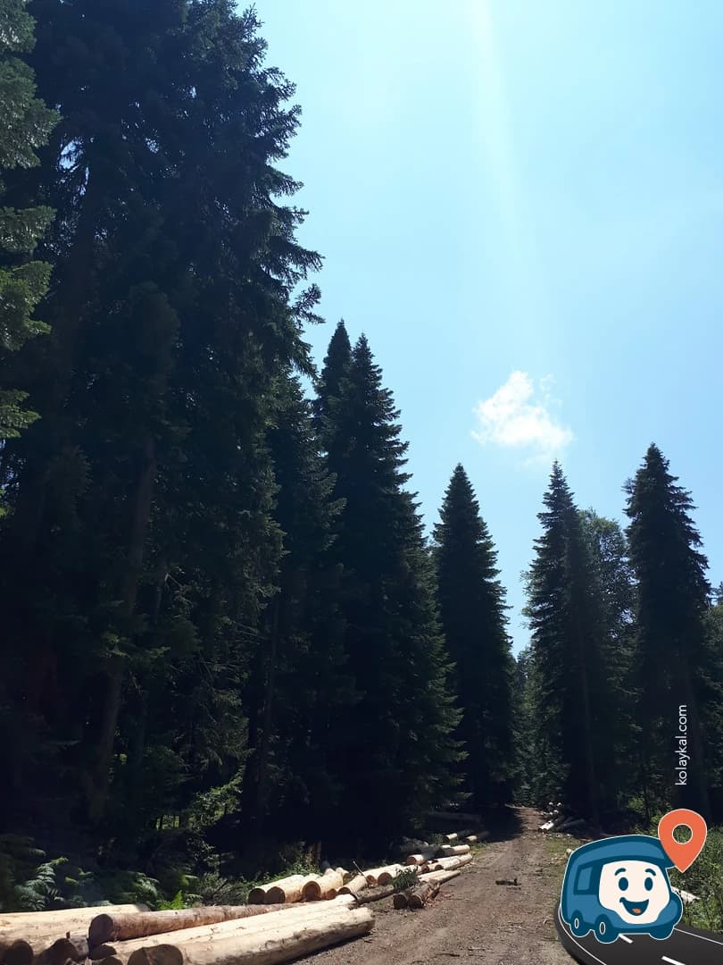 Pürenli Yaylası Kamp Alanı - Mudurnu, Bolu, foto 1