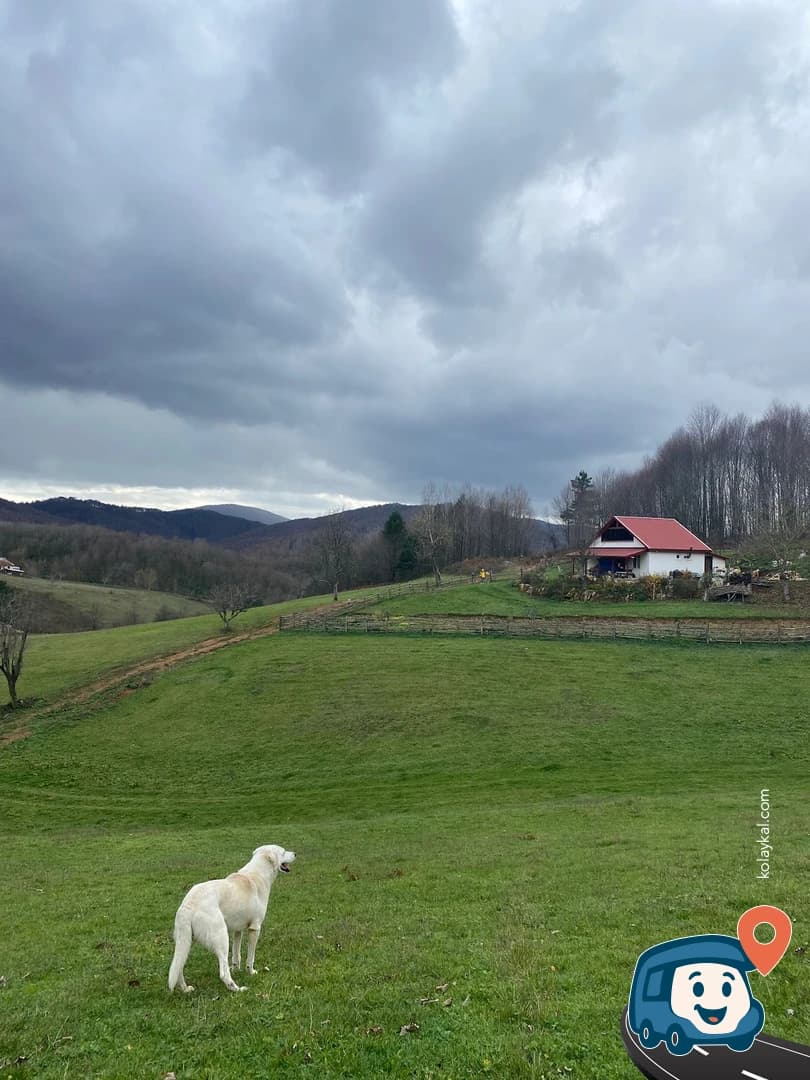 Menekşe Yaylası Kamp Alanı - Başiskele, Kocaeli, foto 2