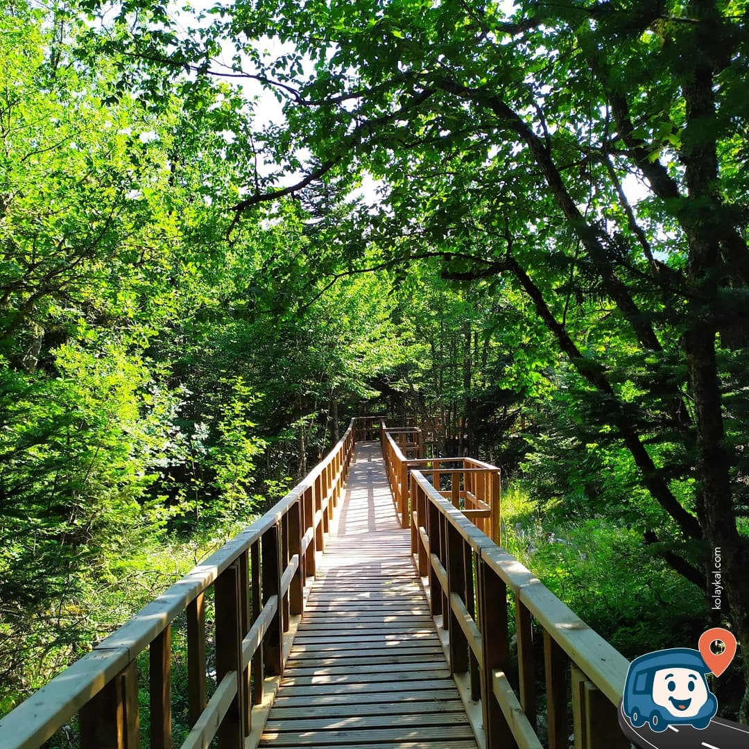Çatak Kanyonu Seyir Terası - Azdavay, Kastamonu, foto 3