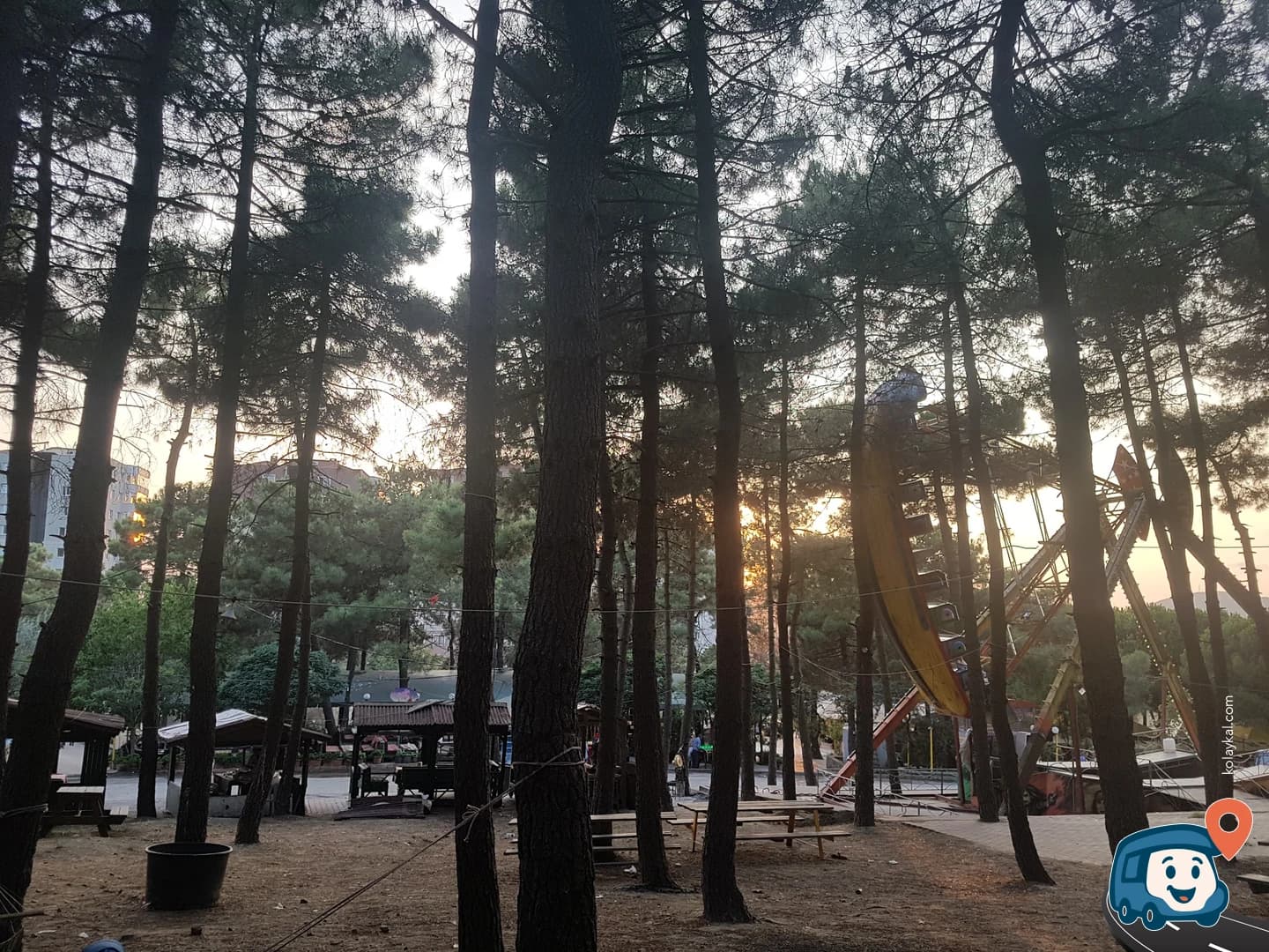 Aydos Ormanı - Kartal, İstanbul, foto 1