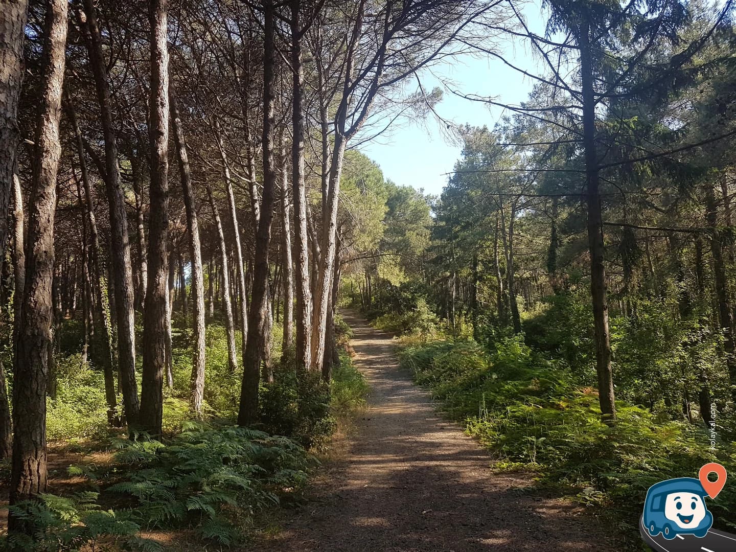 Atatürk Kent Ormanı - Sarıyer, İstanbul, foto 3