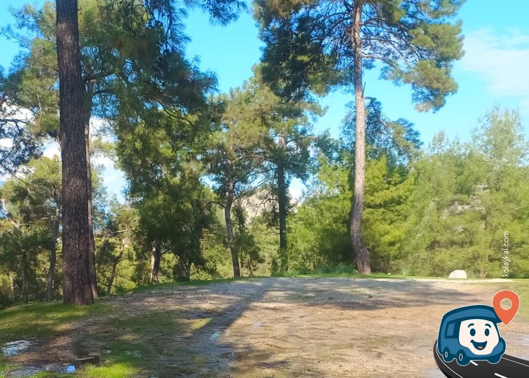 Yol Kenarı Vahşi Kamp Alanı - Ortaca, Muğla, foto 1