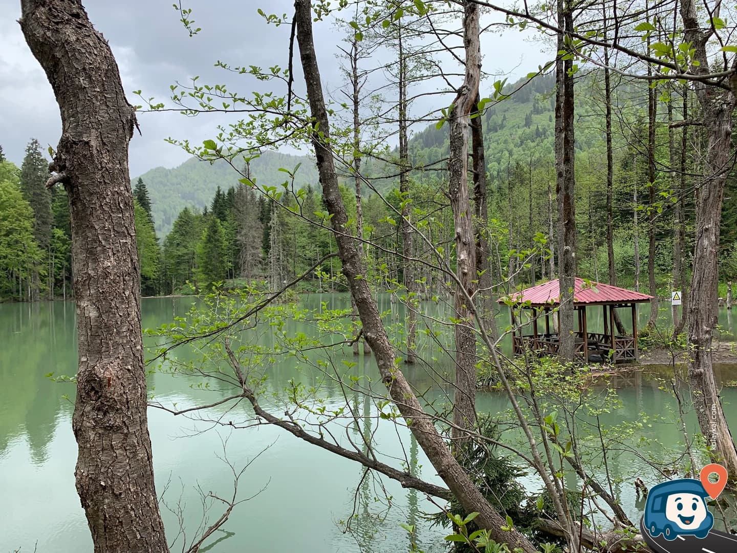 Borçka Karagöl - Artvin, foto 3