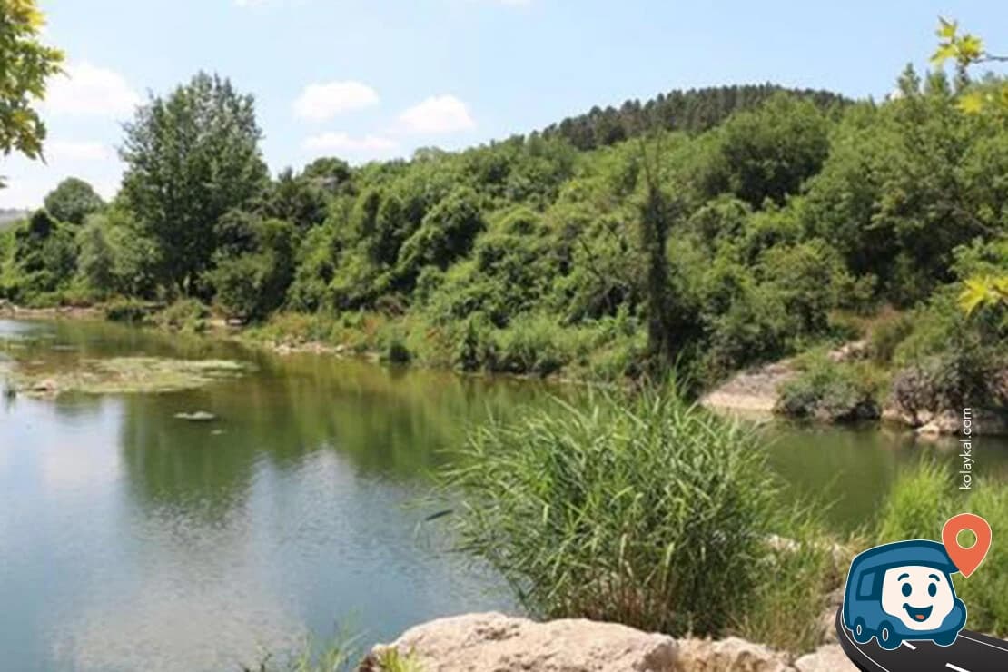 Ballıkayalar Tabiat Parkı - Gebze, Kocaeli, foto 2