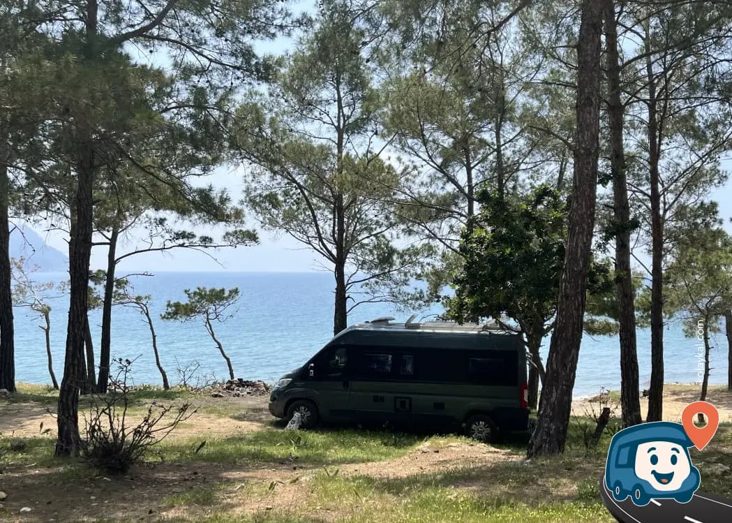 Deniz Kenarında Ağaçların Altı - Silifke, Mersin, foto 2