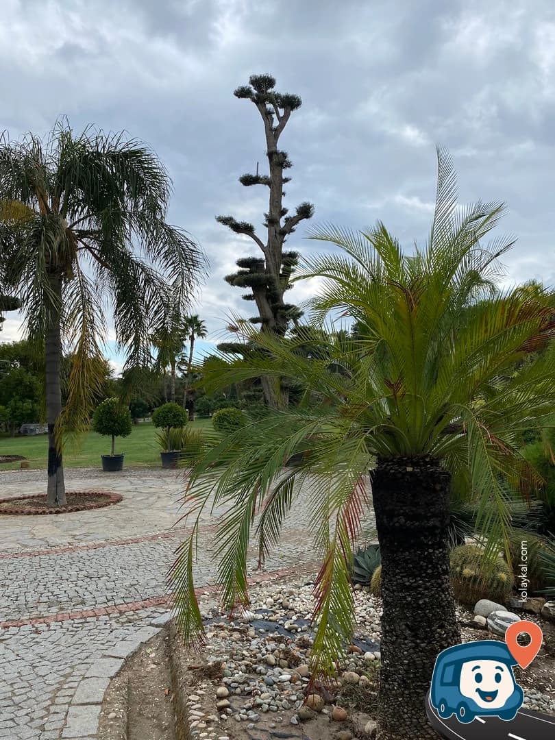 Uzbaş Arboretum - Urla, İzmir, foto 3
