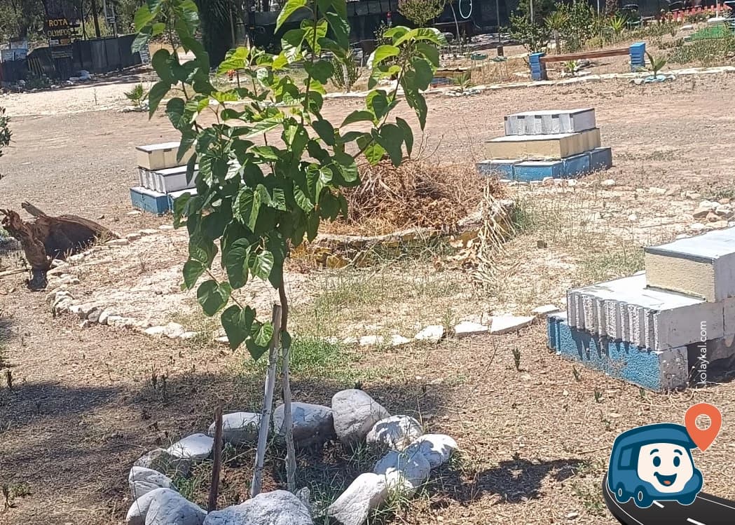 Rota Olympos Karavan ve Bungalov Alanı - Kumluca, Antalya, foto 4