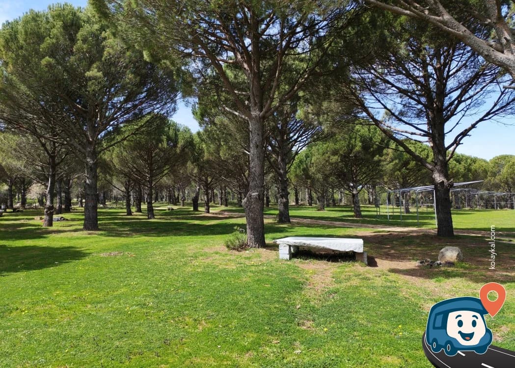 Kozak Yaylası Piknik Alanı - Bergama, İzmir, foto 6
