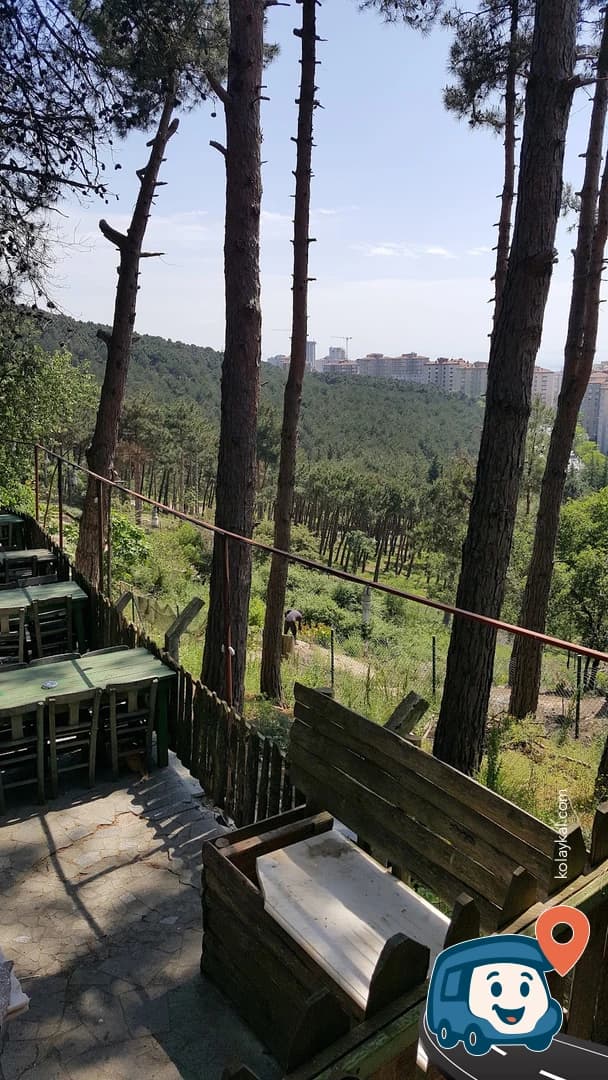 Aydos Ormanı - Kartal, İstanbul, foto 2