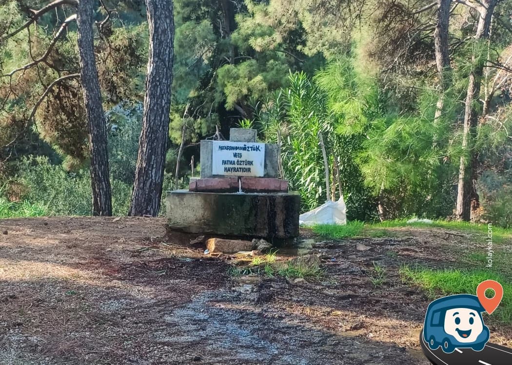 Yol Kenarı Vahşi Kamp Alanı - Ortaca, Muğla, foto 2