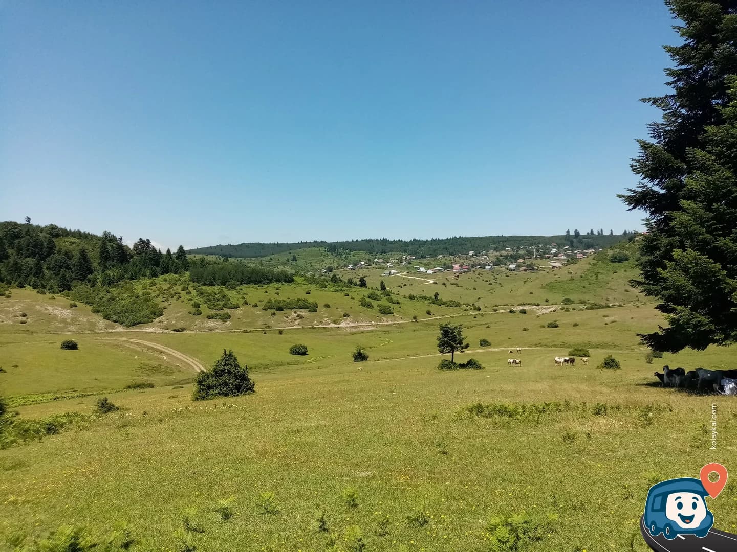 Sultanpınar Yaylası - Göynük, Bolu, foto 2