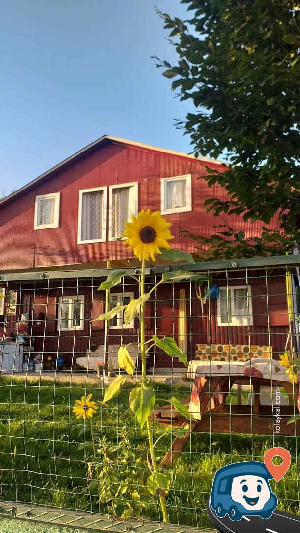 Hıdırnebi Yaylası - Akçaabat, Trabzon, foto 1